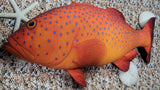 CORAL TROUT LGE