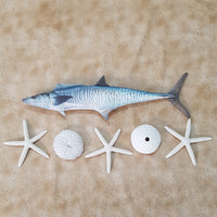 SPANISH MACKEREL MED